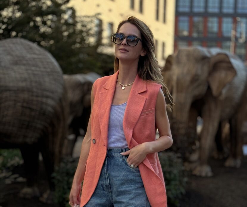 Great elephant journey