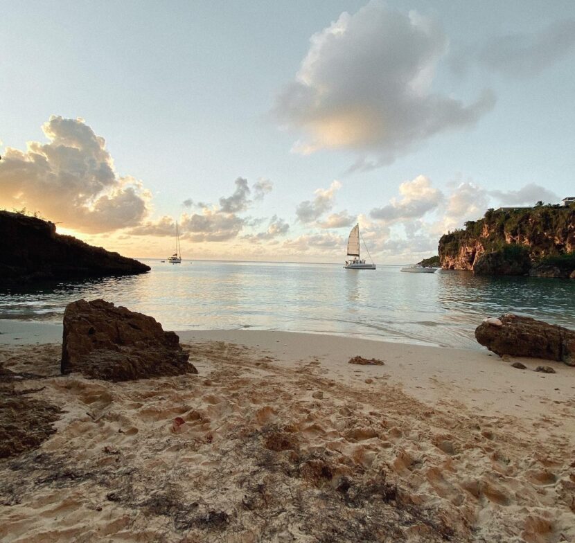 The world needs more love